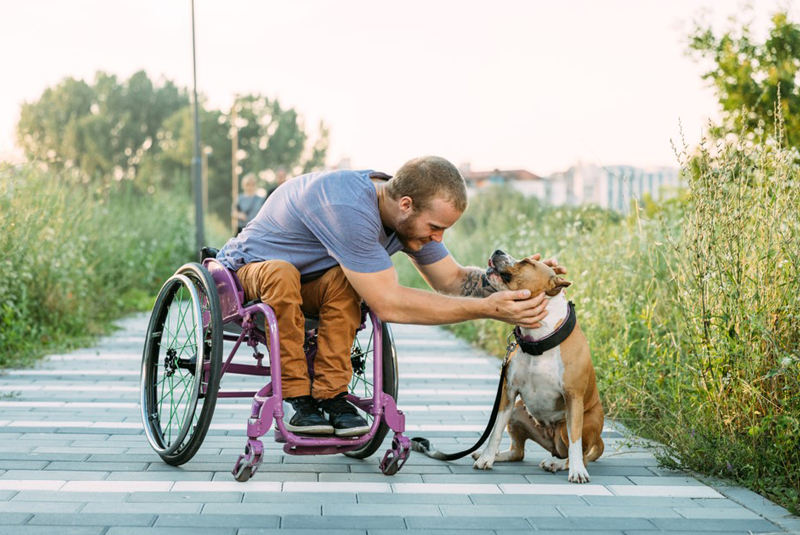 Un homme en fauteuil roulant caresse son chien